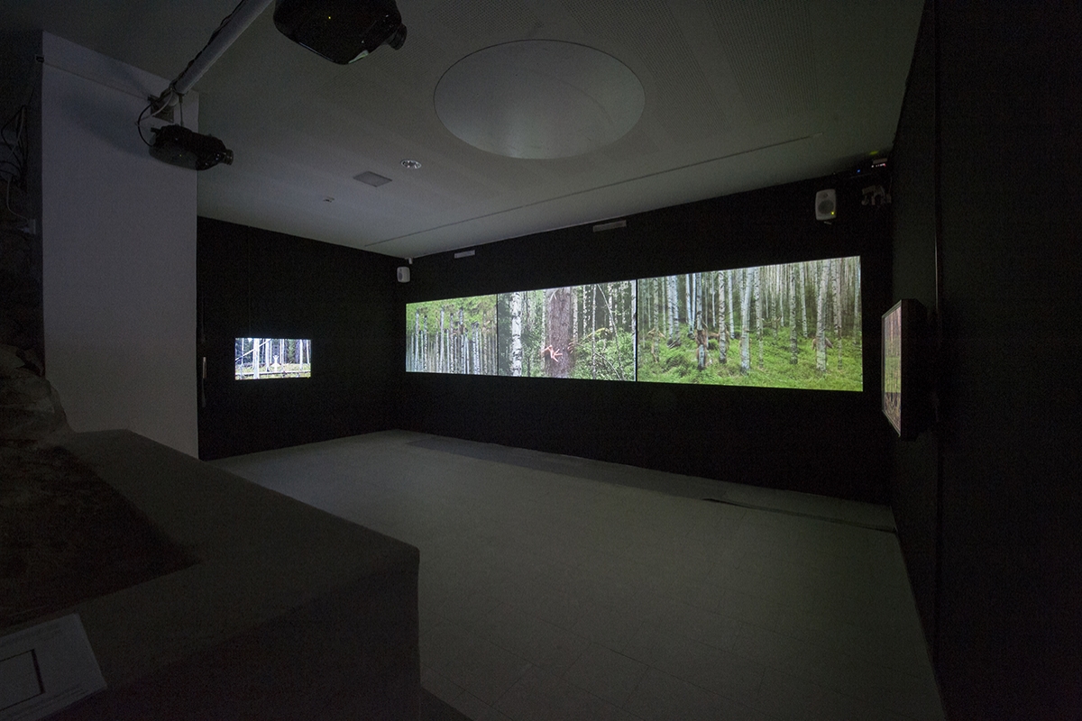 Video installations from 